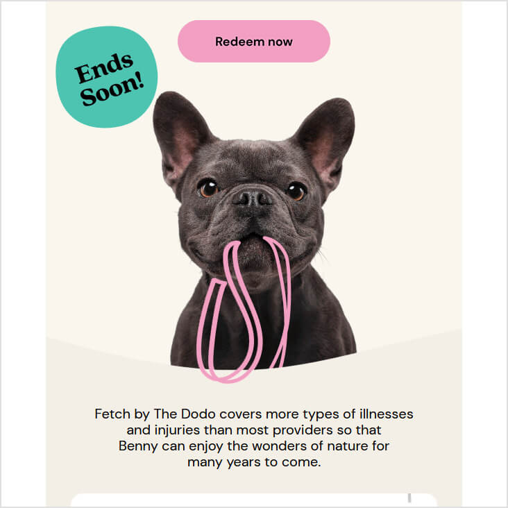 Fetch Pet Insurance