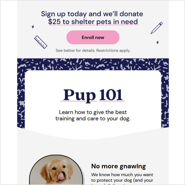 Fetch Pet Insurance