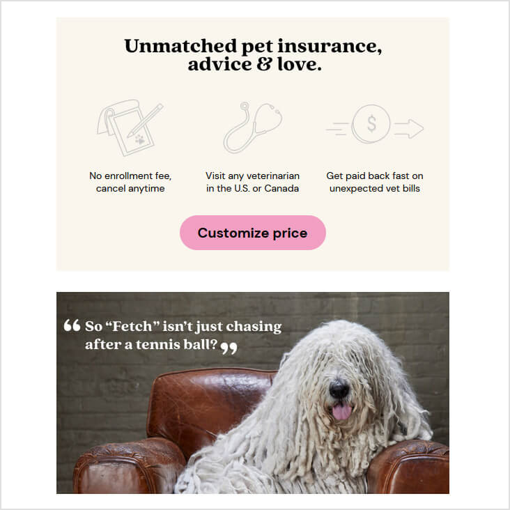 Fetch Pet Insurance
