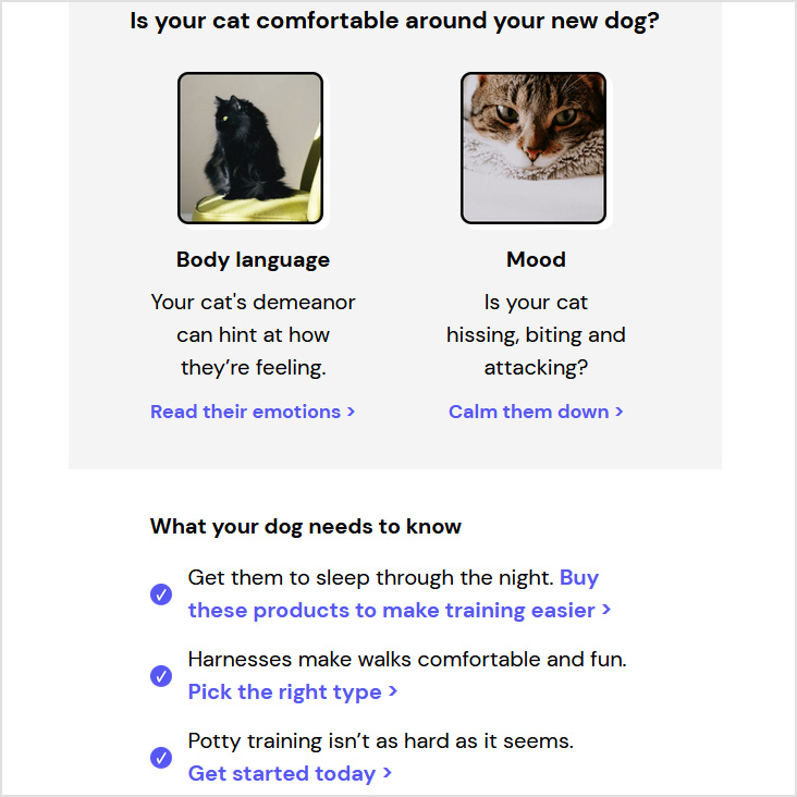 Fetch Pet Insurance