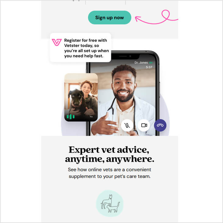 Fetch Pet Insurance