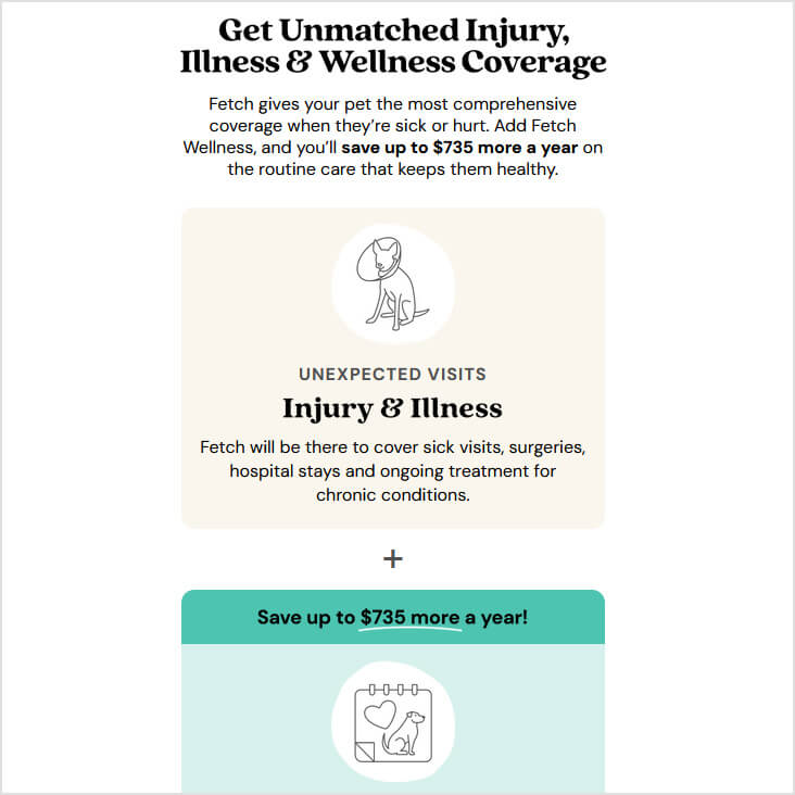 Fetch Pet Insurance
