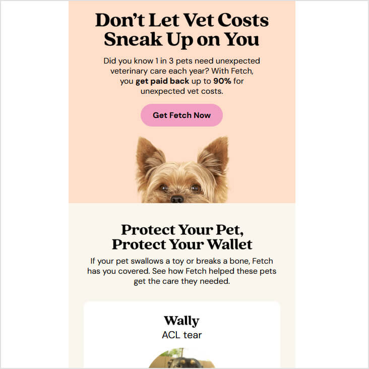 Fetch Pet Insurance